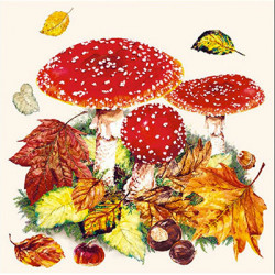 Muchomůrky 33x33