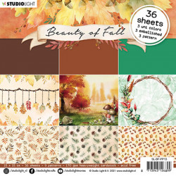 Sada papírů 15x15 Beauty of Fall nr.13 (SL)
