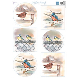 Papír A4 Mattie's mooiste Birds in winter (MD)