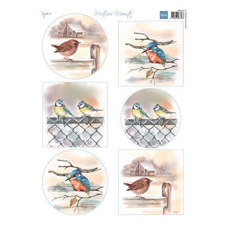 Papír A4 Mattie's mooiste Birds in winter (MD)