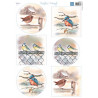 Papír A4 Mattie's mooiste Birds in winter (MD)