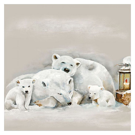 Lední medvědi 33x33