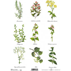 Papír rýžový A4 Herbář, rozmarýn, hřebíček aj.