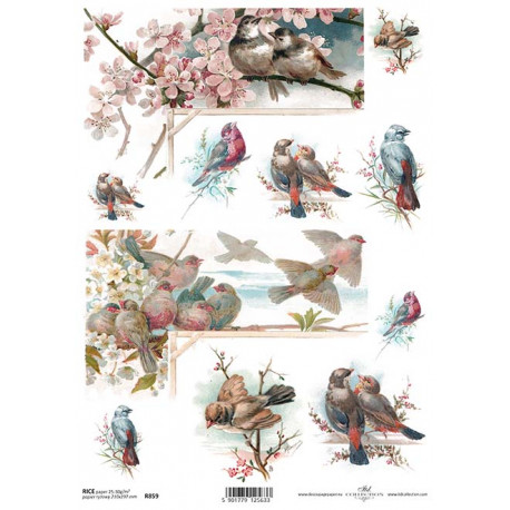 Papír rýžový A4 Rohy, růžové květy a ptáčci