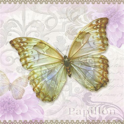 Motýl 33x33