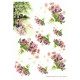 Papír rýžový A4 Kytičky lesních květin Aquita