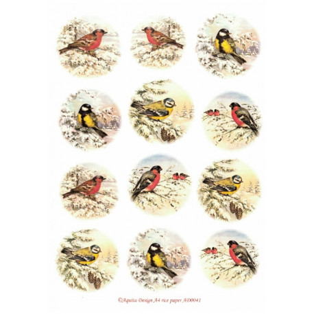 Papír rýžový A4 Ptáčci v zimě I Aquita