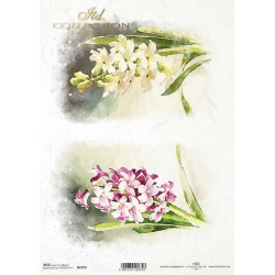 Papír rýžový A4 Jarní květy, hyacinty