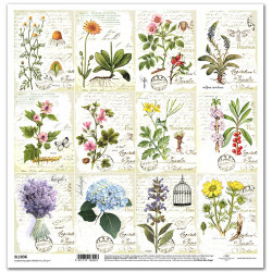 Herbář, květiny, bylinky, písmo - scrap.papír 31x32cm