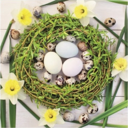 Jarní dekorace s vajíčky 33x33