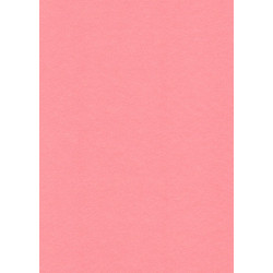 Filc růžový 20x30cm, 1 list