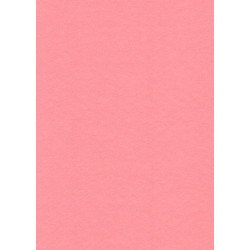 Filc růžový 20x30cm, 1 list