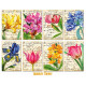 Sada scrap.kartiček 7x10,8cm - Summer Flower (Decorer)