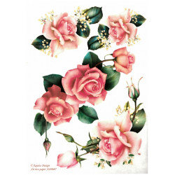 Papír rýžový A4 Růže jako malované I Aquita