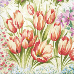 Tulipány 33x33