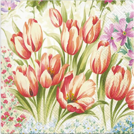 Tulipány 33x33