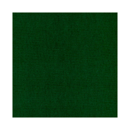 Strukturovaný papír 240g, 30,5x30,5cm -vánoční zelená