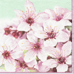 Třešňové květy 33x33