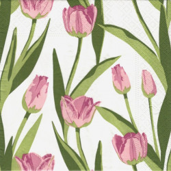 Růžové tulipány 33x33