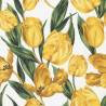 Žluté tulipány 33x33