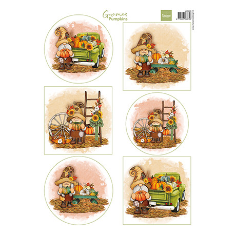PapírA4 Gnomes - Pumpkins (MD)