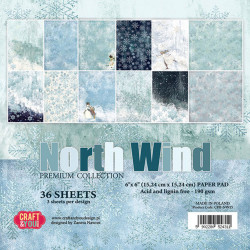 Sada papírů 15x15 North Wind (Craft & You)