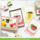 Sada papírů 15x15 Fruit Salad (Lawn Fawn)