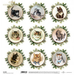 Vánoční čas, obrázky s kočkami - scrap.papír 31x32 (ITD)