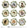 Vánoční čas, obrázky s kočkami - scrap.papír 31x32 (ITD)