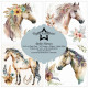 Sada papírů 15x15 Boho Horses (PF)