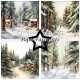 Sada papírů 15x15 Winter Forest (PF)