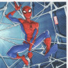 Spider-man 25x25