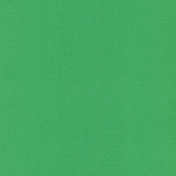 Strukturovaný papír 240g, 30,5x30,5cm - zelená