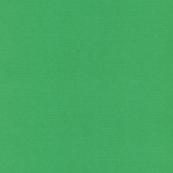 Strukturovaný papír 240g, 30,5x30,5cm - zelená