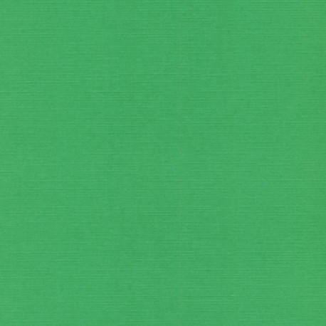 Strukturovaný papír 240g, 30,5x30,5cm - zelená