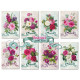 Sada scrap.kartiček 7x10,8cm - Meadow (Decorer)