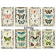 Sada scrap.kartiček 7x10,8cm - Butterfly (Decorer)