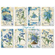 Sada scrap.kartiček 7x10,8cm - Forget-me-not (Decorer)