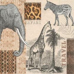 Safari 33x33