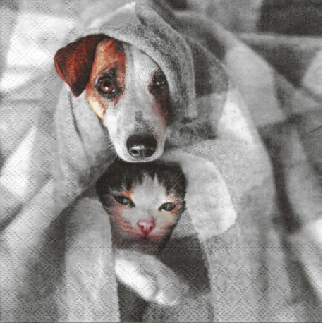 Pejsek a kočička 33x33