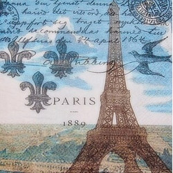 Paris 1889 25x25
