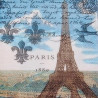 Paris 1889 25x25