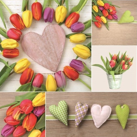 Tulipánové srdce 33x33