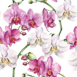 Orchideje 33x33