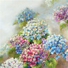 Hortenzie 33x33