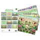 Papíry A4 Art Journaling Set (MD)