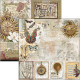 Sada papírů 20x20 Cabinet of Curiositi (Ciao Bella)
