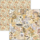Sada papírů 20x20 Cabinet of Curiositi (Ciao Bella)