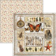 Sada papírů 20x20 Cabinet of Curiositi (Ciao Bella)