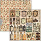 Sada papírů 20x20 Cabinet of Curiositi (Ciao Bella)